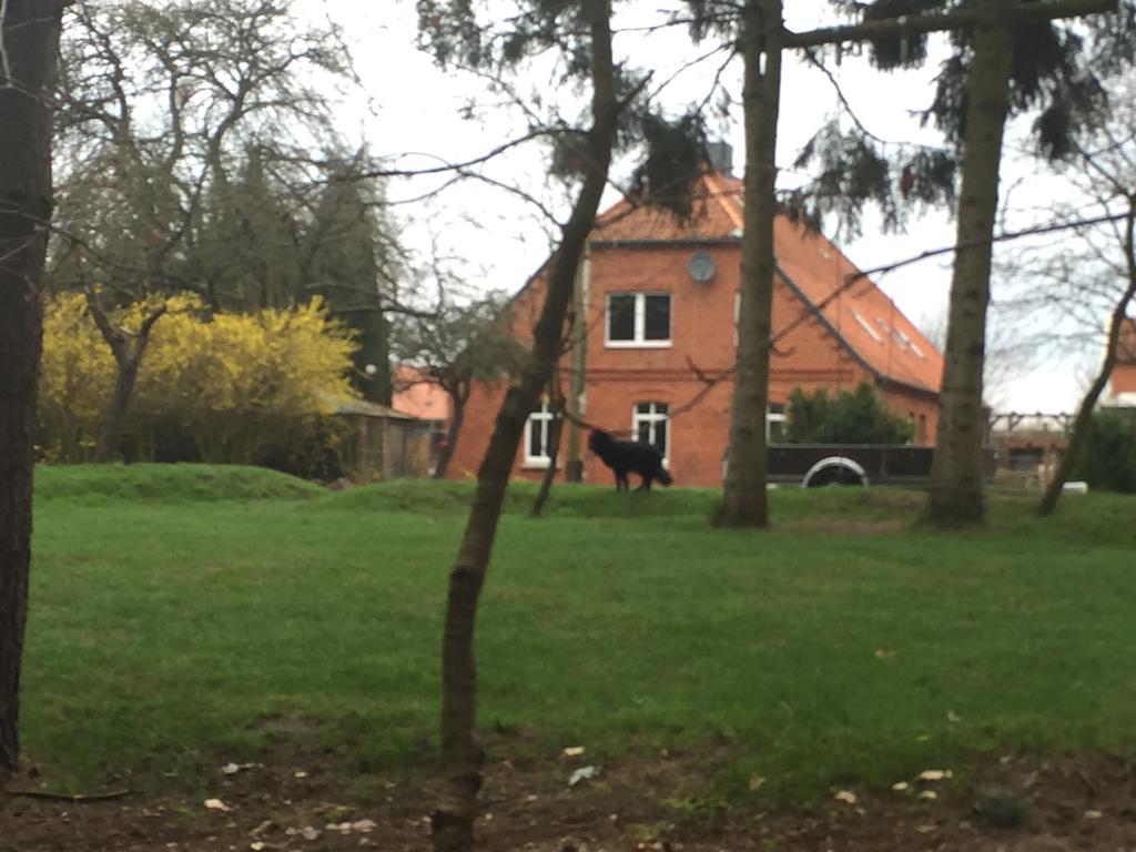 Ferienwohnung Garten Eben Rullstorf المظهر الخارجي الصورة